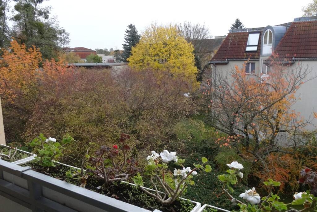 Schoene, Ruhige Wohnung In Berlin-Steglitz Esterno foto