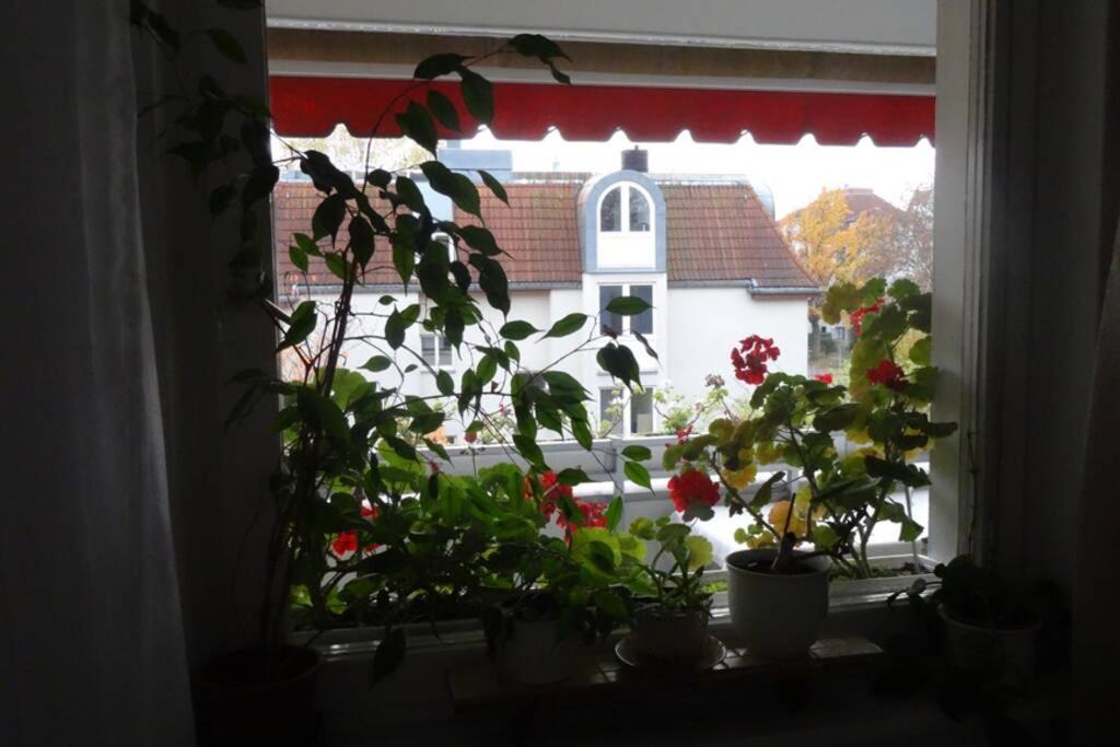 Schoene, Ruhige Wohnung In Berlin-Steglitz Esterno foto